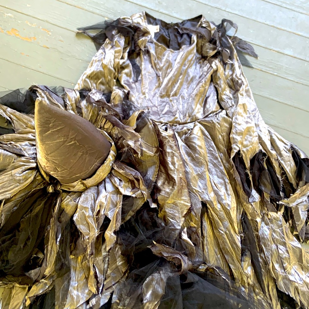 Chasing Fireflies size 10 witch costume
